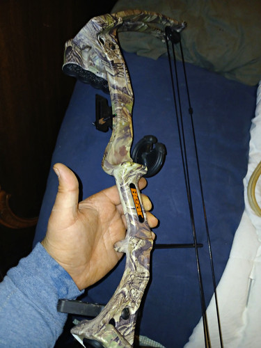 Bear archery whitetail hunter - whitetail,