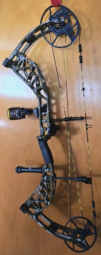 Bear adapt rth right - adapt,