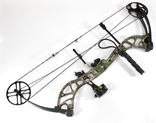 Bear archery species - species, rh